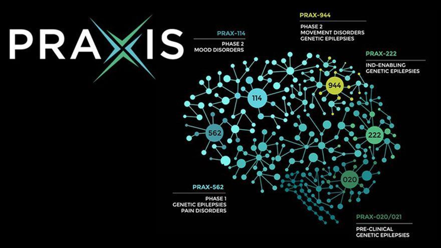 Praxis癲癇臨床二期提前結束！relutrigine療效亮眼將與FDA洽談