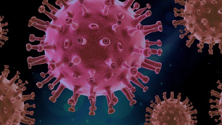 猴痘新研究數據：中非爆新病毒株大規模性傳播  致死率高