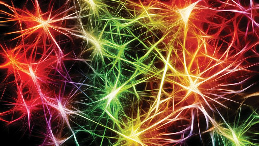美國哈佛大學的研究指出，盲人的大腦網路能夠自我適應並在其他區域 產生新的連接。( 圖/ Gerd Altmann from Pixabay)